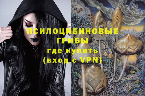 ALPHA PVP Алексин