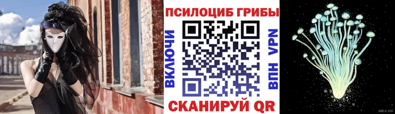 Псилоцибиновые грибы прущие грибы кракен ТОР Тюкалинск